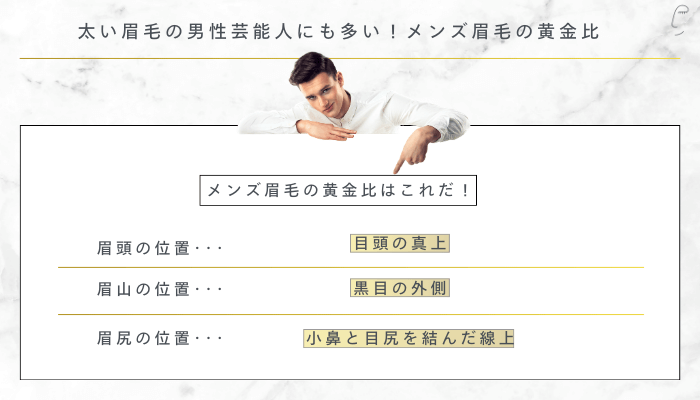 太い眉毛の男性芸能人にも多い！メンズ眉毛の黄金