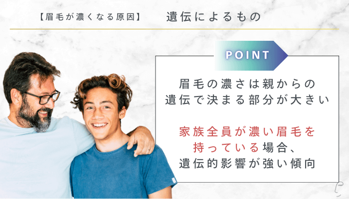 眉毛が濃くなる原因遺伝によるもの