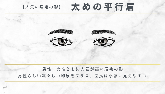 人気の眉毛の形太めの平行眉