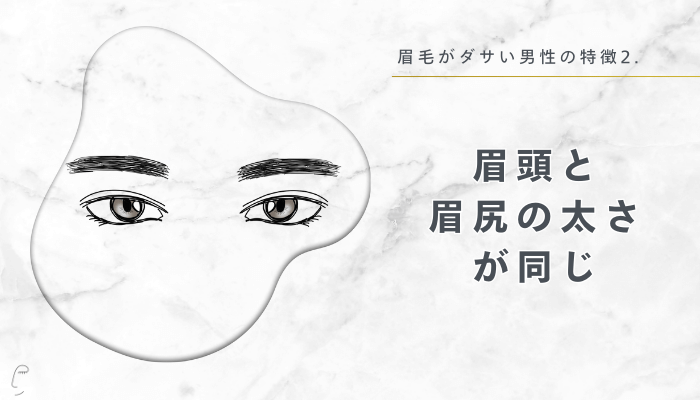 2.眉頭と眉尻の太さが同じ