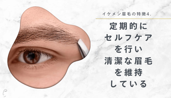 イケメン眉毛の特徴4