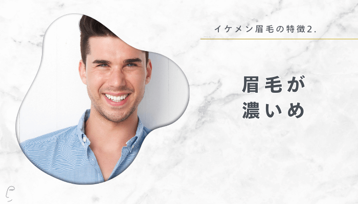 イケメン眉毛の特徴2