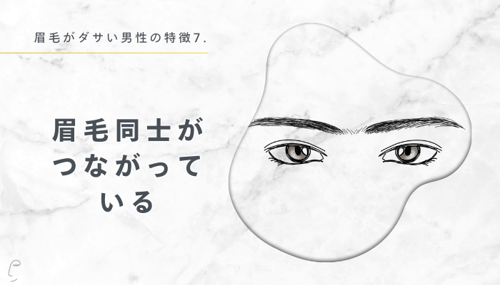 7.眉毛同士がつながっている