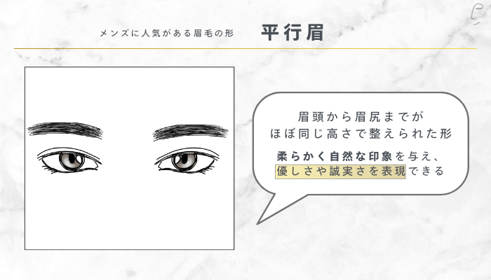 メンズに人気がある眉毛の形平行眉