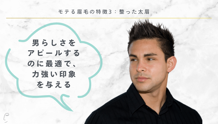 モテる眉毛の特徴3：整った太眉