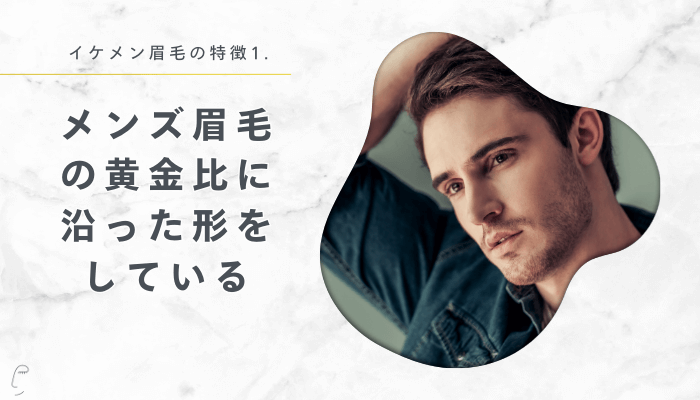 イケメン眉毛の特徴1