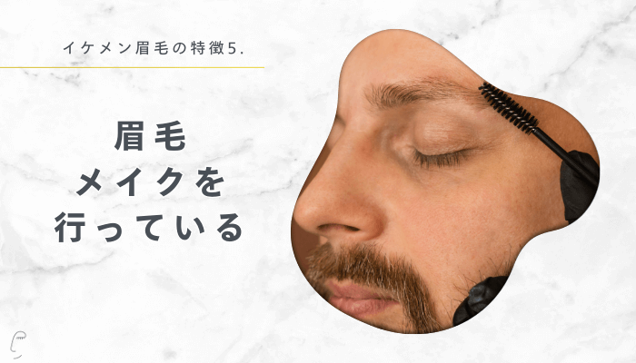 イケメン眉毛の特徴5