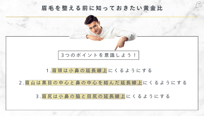眉毛を整える前に知っておきたい黄金比