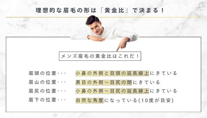 理想的な眉毛の形は「黄金比」で決まる！