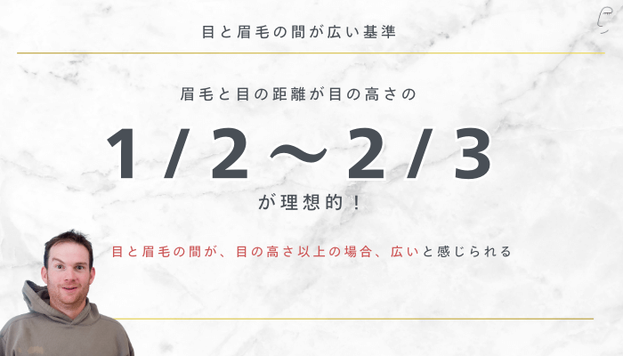 目と眉毛の間が広い基準