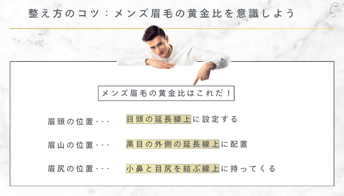 整え方のコツ：メンズ眉毛の黄金比を意識しよう