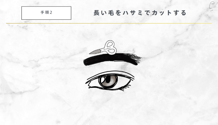 黄金比を意識した眉毛の整え方手順2