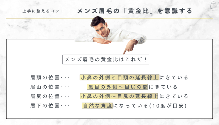 上手に整えるコツ:メンズ眉毛の「黄金比」を意識する